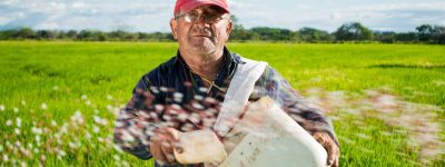 הפרת סימן מסחר של קופסאות פלסטיק