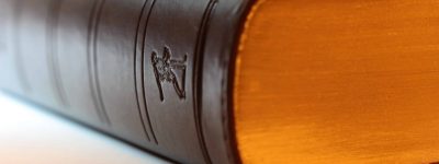 משפט מנהי ומכרזים